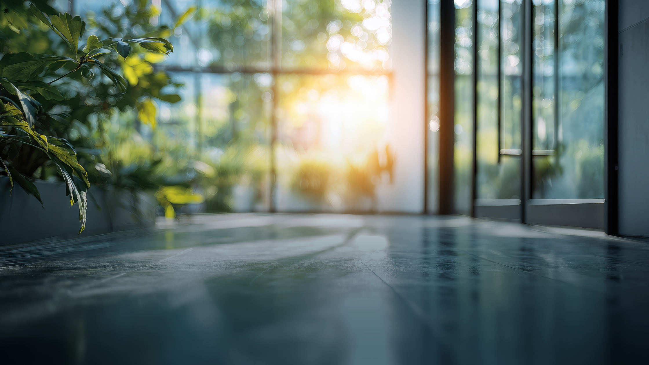 Spring Transitions, Indoor Air Quality and Building Performance: What You Need to Know